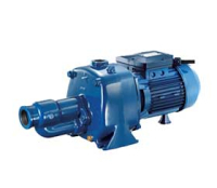 Самовсасывающие насосы PENTAX CAB